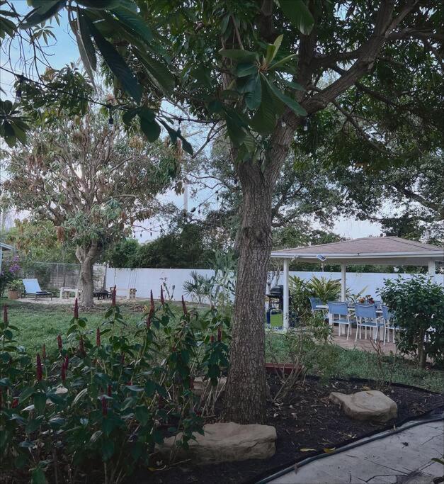 Beautiful Main House In West Palm Beach Exterior photo